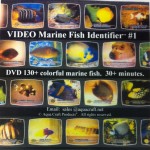 VIDEO MARINE FISH IDENTIFIER™
